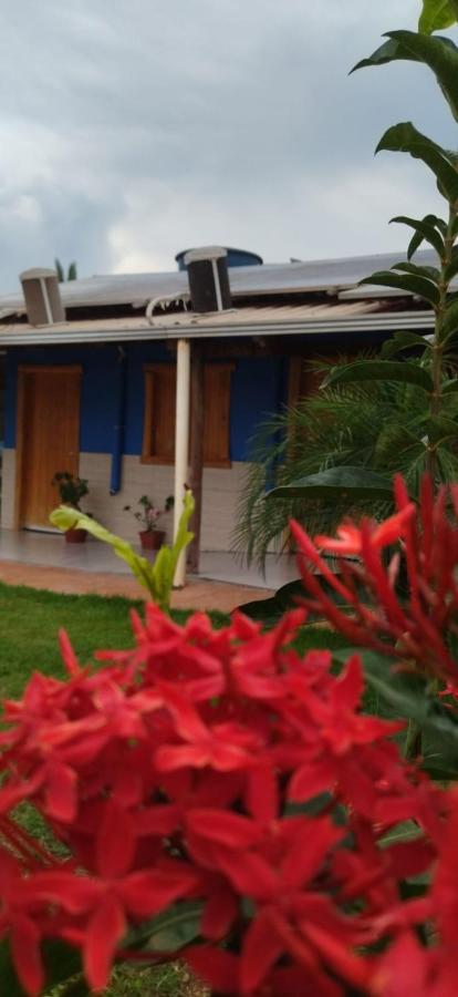 Agência e Pousada Estância da Mata Estivado Exterior foto